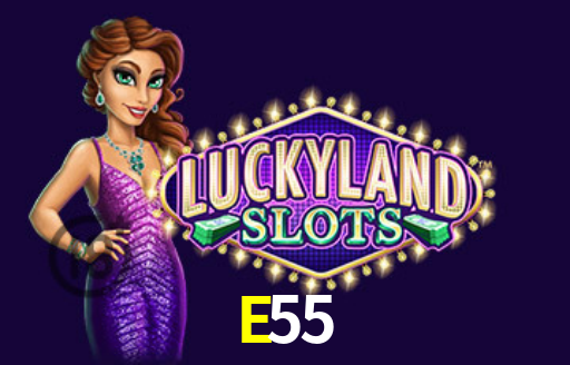 PIX Instantâneo E55