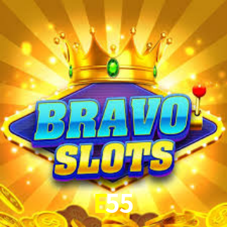 Interface do App E55