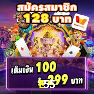 Interface Premium E55